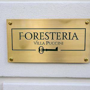 Foresteria Villa Puccini Casa Per Ferie